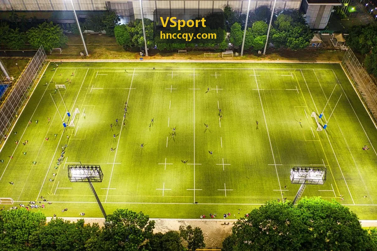 VSport 数据分析仪表盘