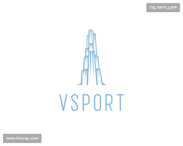 了解VSport